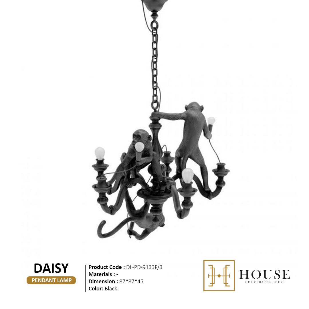 Daisy Black Our Curated House